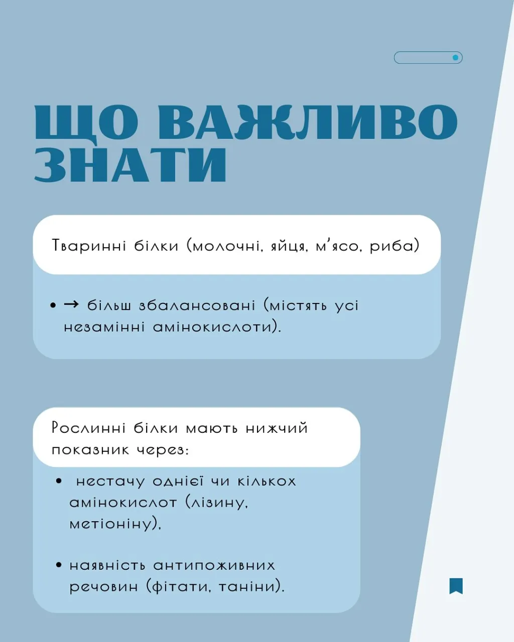 Чому м’язи важливі для здоров’я: пояснення дієтолога