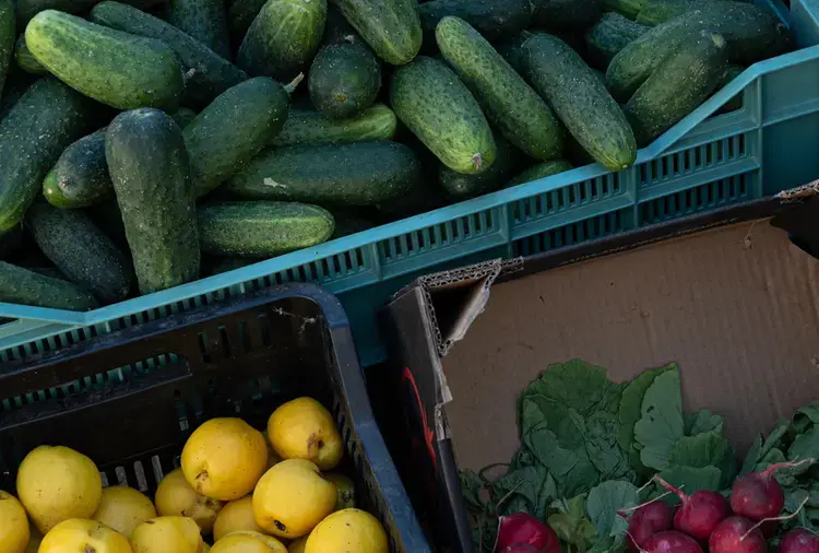 Сьогодні у Києві проходять продуктові ярмарки у шести районах: де купити свіжі продукти