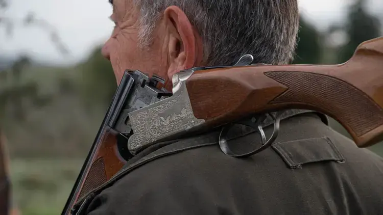 На Київщині дозволили контрольний відстріл хижаків через загрозу сказу