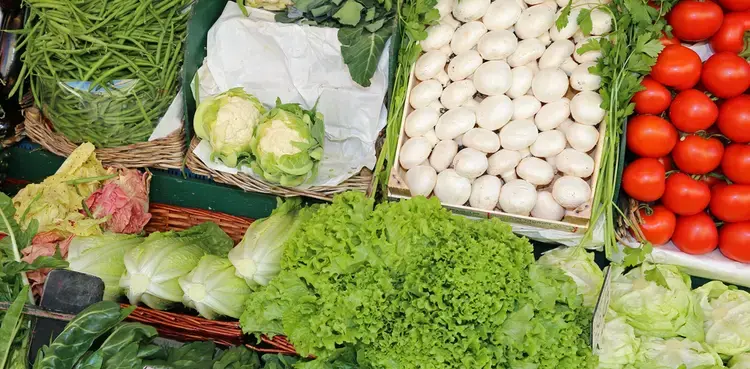 Продуктові ярмарки у Києві на цих вихідних: де купити свіжі продукти