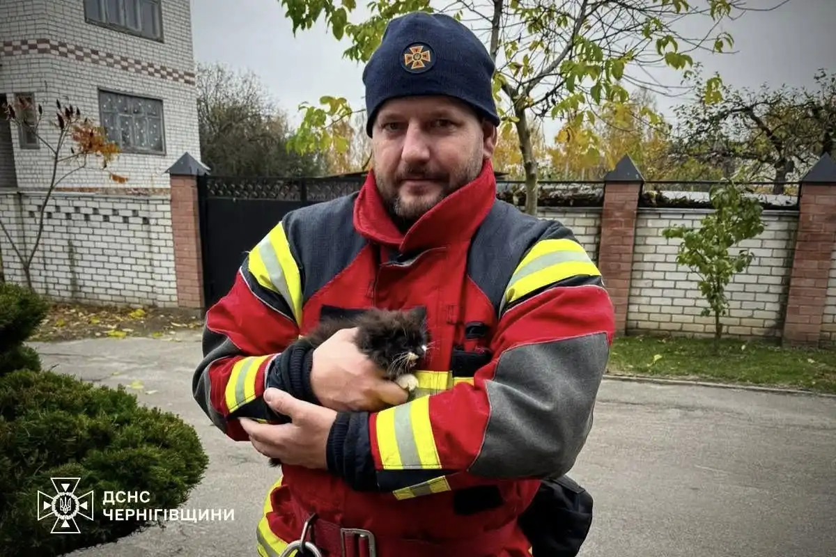 У Чернігові рятувальники ДСНС врятували кошеня, застрягле у хвіртці