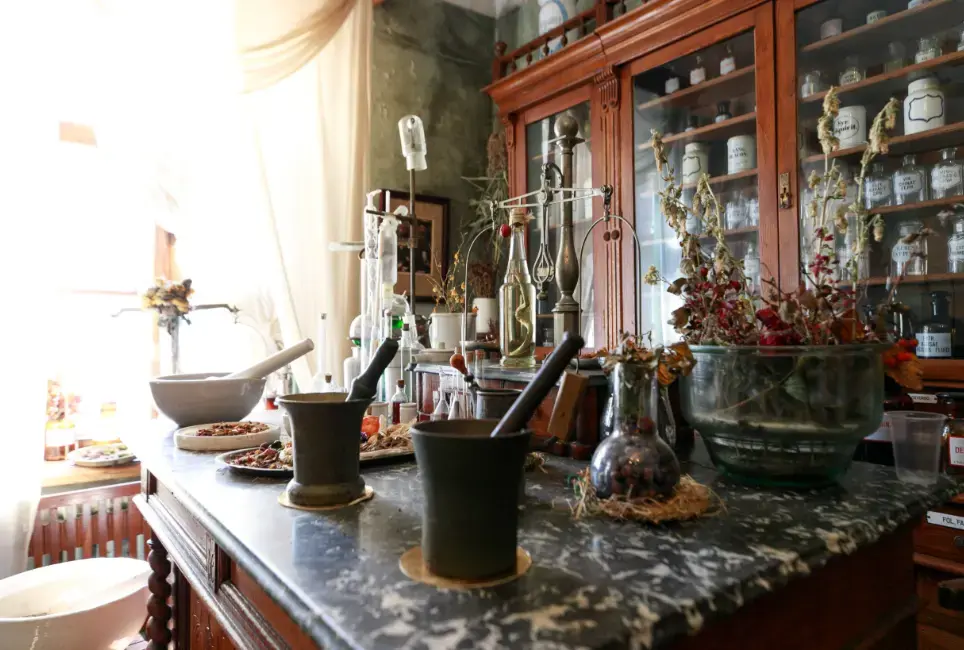 Київ запрошує на виставки, екскурсії та лекції: культурна афіша цього тижня