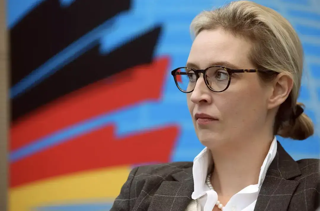 Spiegel повідомляє: німецьку ультраправу АдН підозрюють у передачі військових даних росії