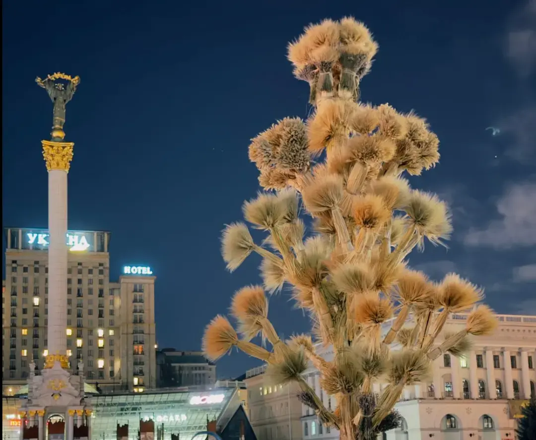 Майдан Незалежності прикрасив 7-метровий Дідух: символ Різдва в центрі Києва
