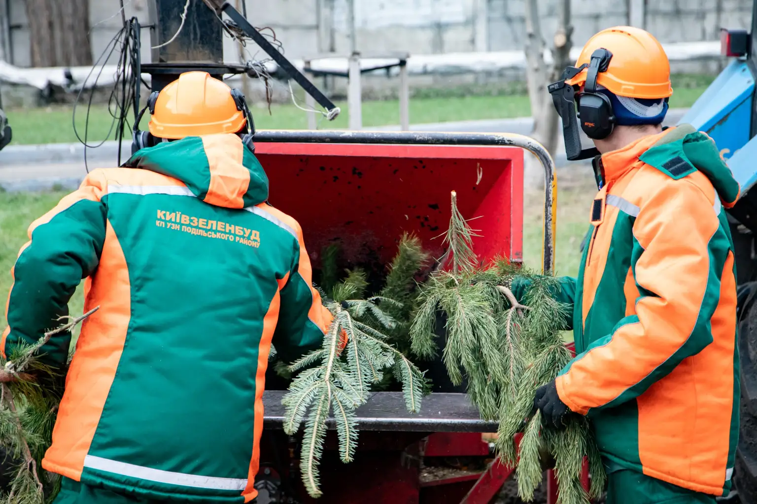У Києві відкривають 72 пункти для здачі новорічних ялинок на переробку