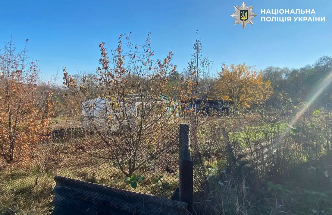 Дача в заповіднику: київська підприємиця незаконно привласнила 0,8 га Голосіївського парку