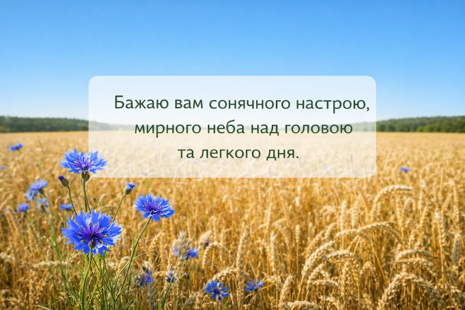 Доброго дня, мирного неба над головою: щирі побажання та красиві листівки