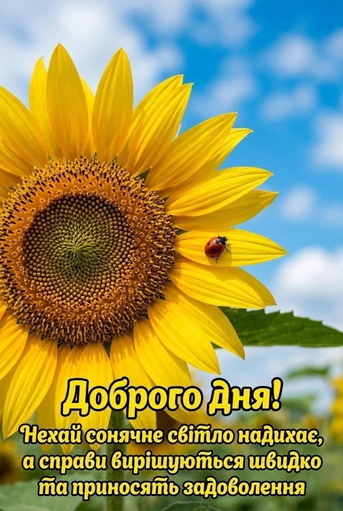 Картинки доброго дня та гарного настрою: щирі та красиві побажання у листівках