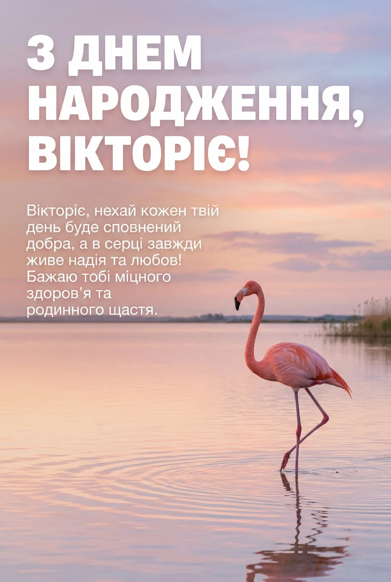 Побажання для Вікторії: від романтичних зізнань до професійних настанов