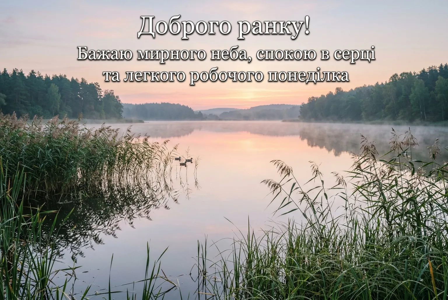 З понеділком та доброго ранку: найкращі картинки та щирі побажання для вдалого початку тижня