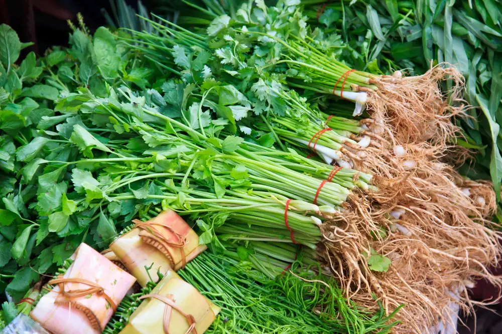Де шукати свіжі продукти на ярмарках у столиці