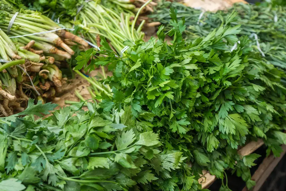 Столичні ярмарки оновлюють асортимент: де шукати фермерські продукти