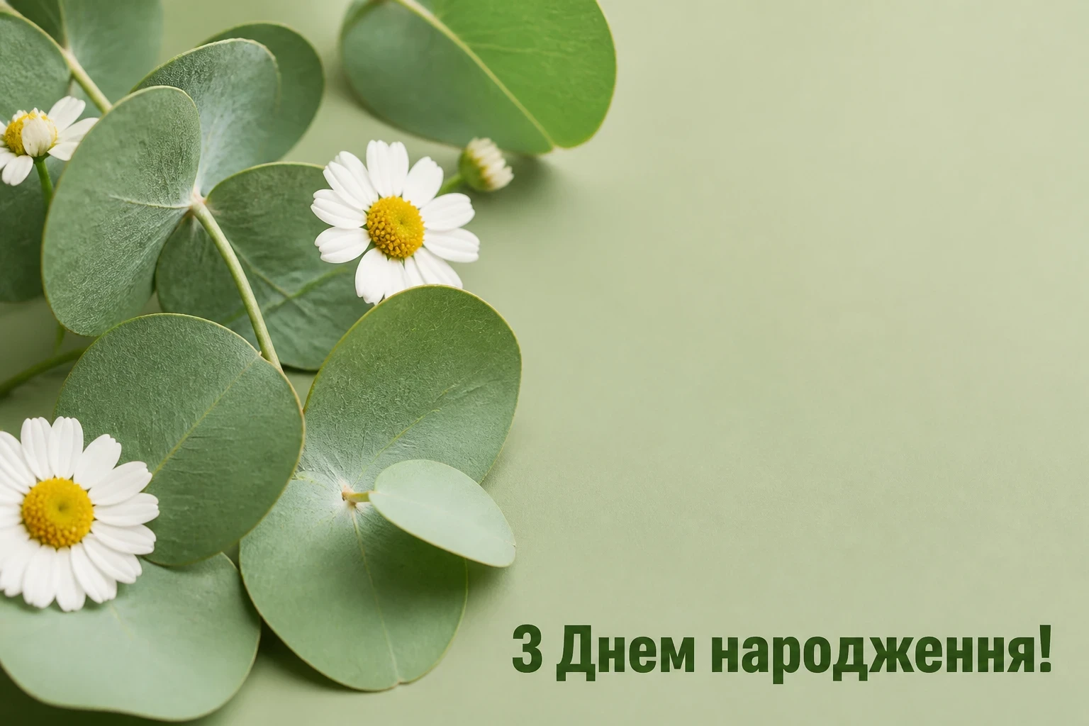 привітання з днем народження молодій дівчині привітання з днем народження молодій дівчині